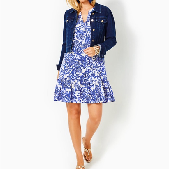 Lilly Pulitzer Alyssa A-Line Cotton Dress - Picture 4 of 9